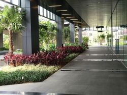 Vision Exchange (D22), Office #610485311